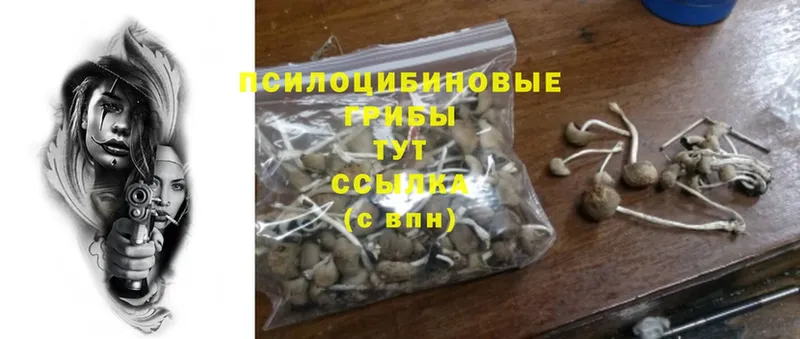 Виды наркоты Елизово Конопля  МЕФ  Cocaine  ГАШ 